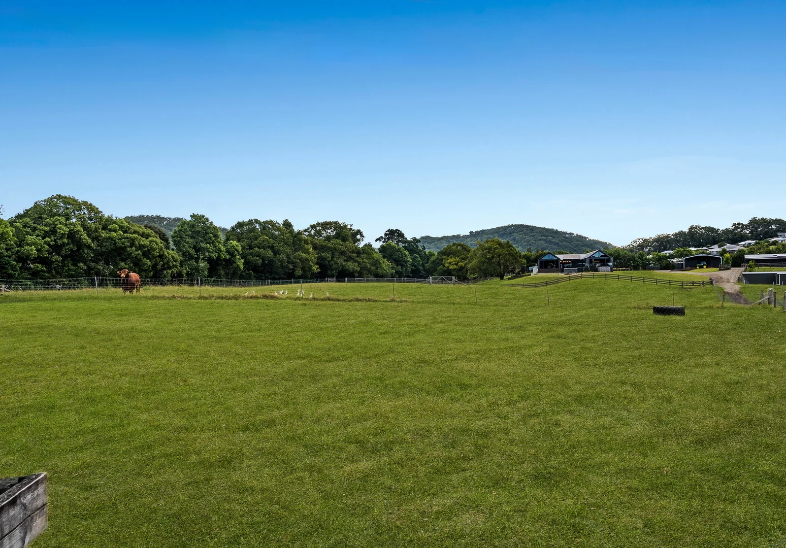 Additional image 62 of 19 Lacey Lane, Yandina QLD 4561