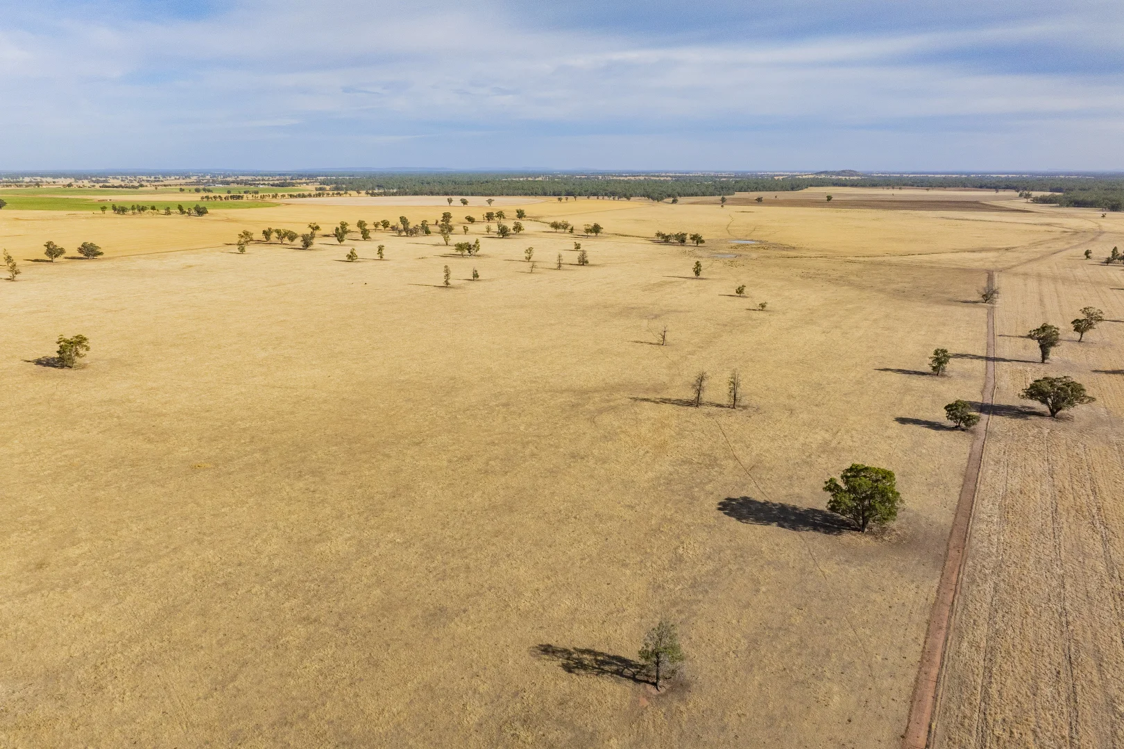 Additional image 9 of 1152 Central Island Road, Galore NSW 2650