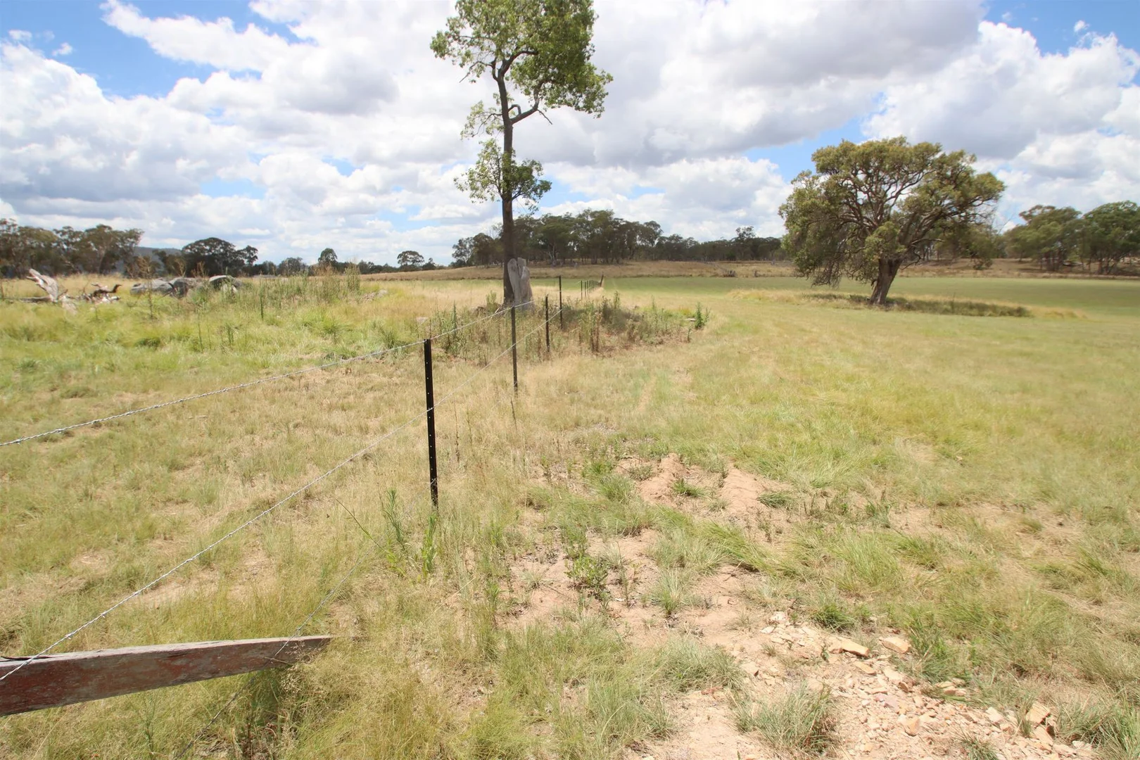 Additional image 6 of 110B Sunnyside Platform Road, Tenterfield NSW 2372