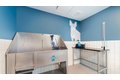 Additional image 34 of 1133 South Blvd, Oak Park, IL, 60302