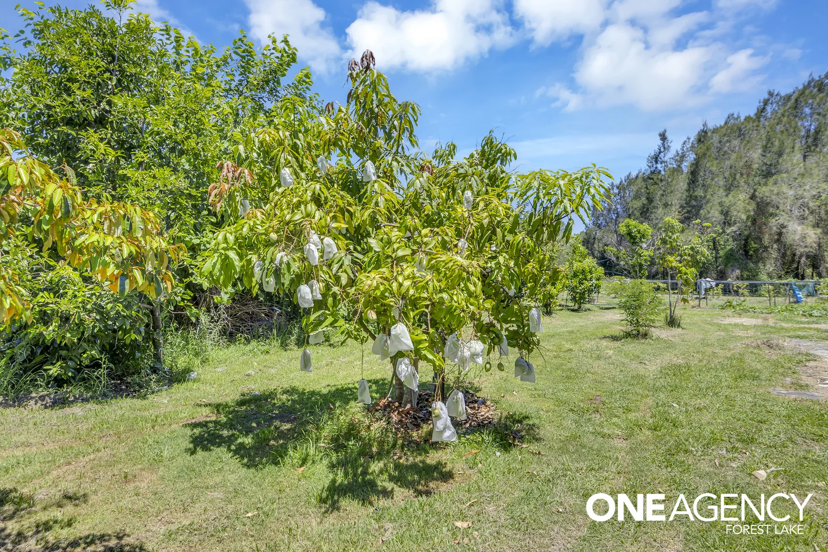 Additional image 28 of 47 Keith Street, Bundamba QLD 4304