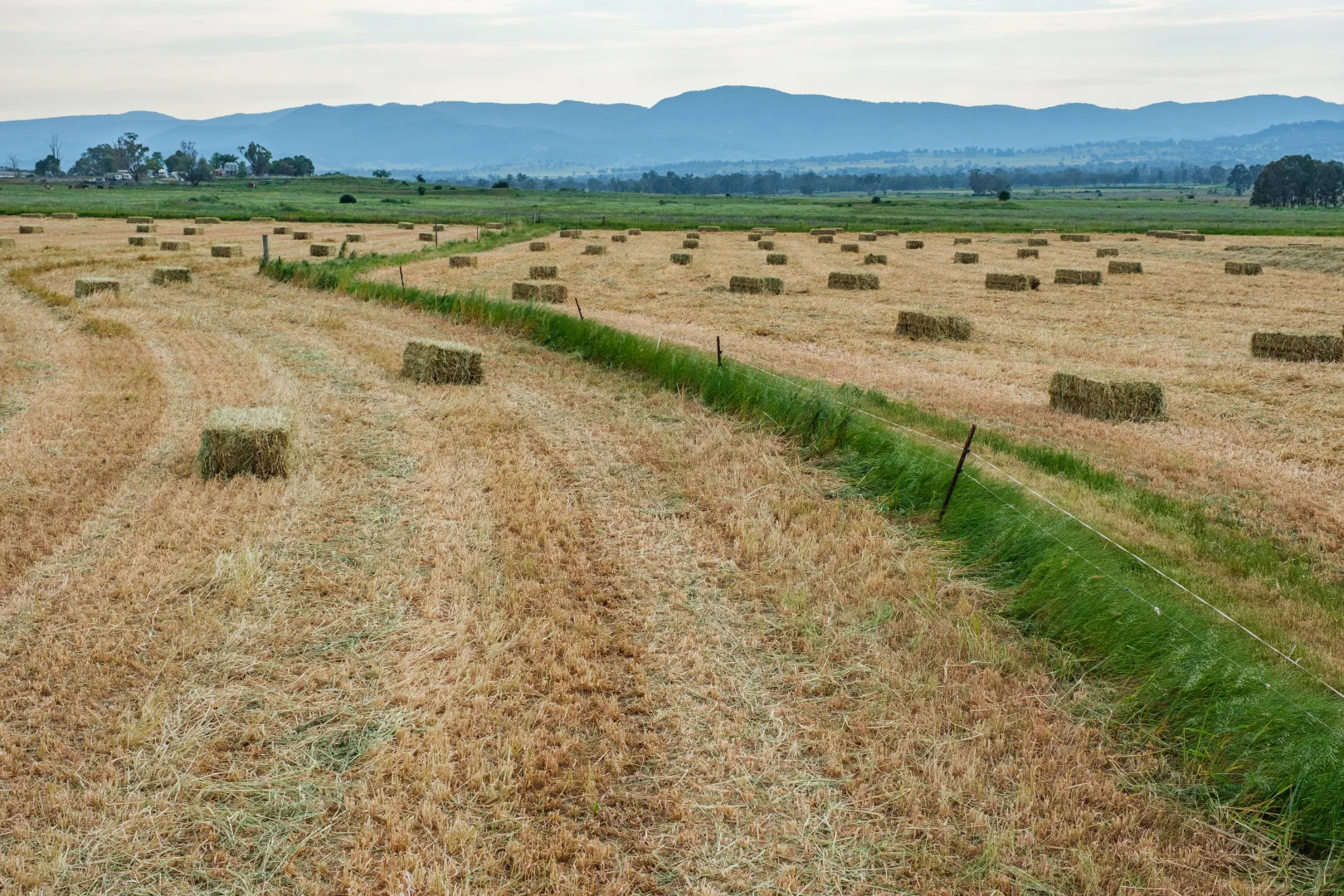 Additional image 7 of 1480 Oxley Highway, Tamworth NSW 2340