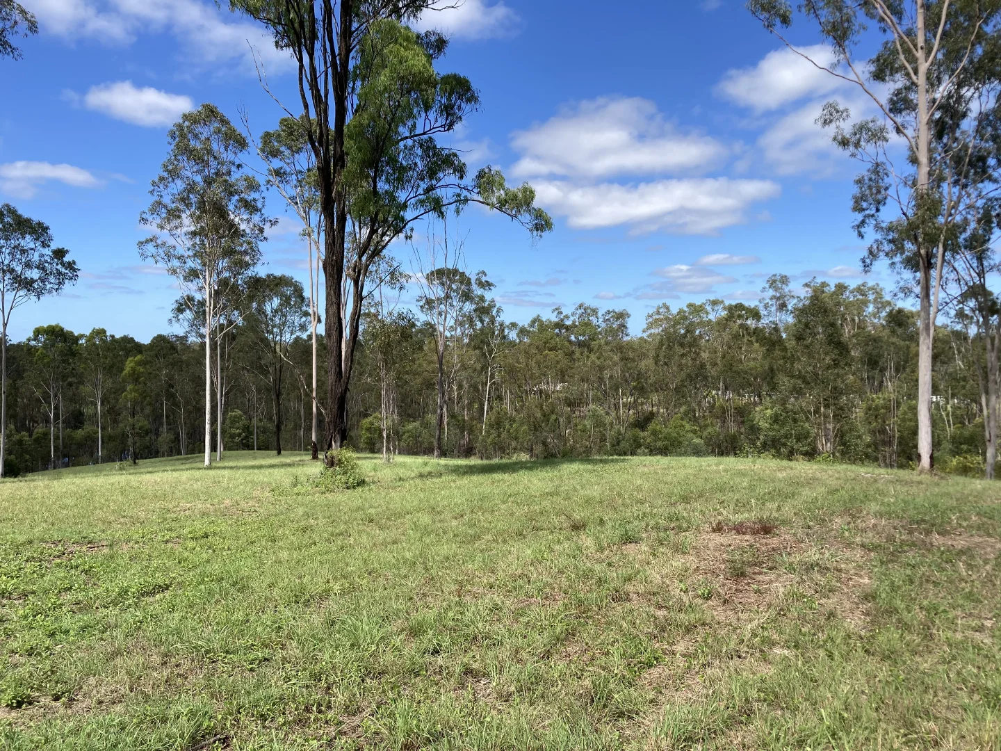 Additional image 32 of 209 Mcintyres Road, Damascus QLD 4671