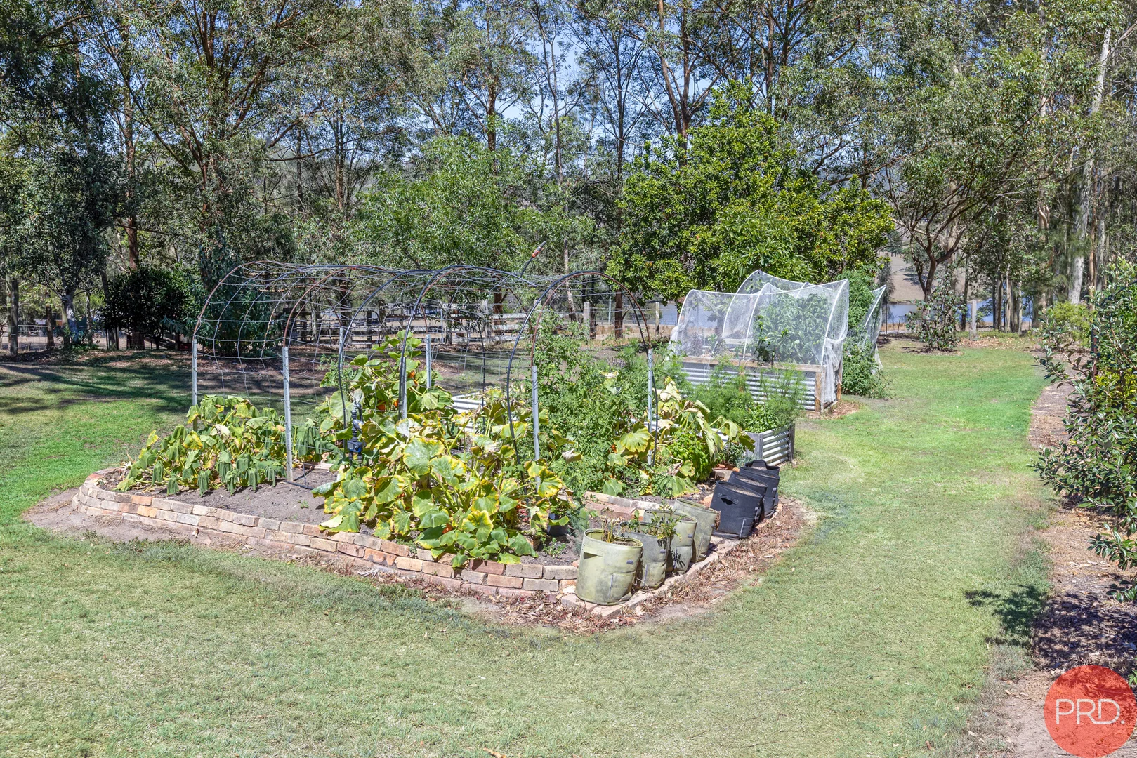 Additional image 23 of 739 Anambah Road, Gosforth NSW 2320