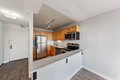 Additional image 7 of 655 W Irving Park Rd Apt 1511, Chicago, IL, 60613