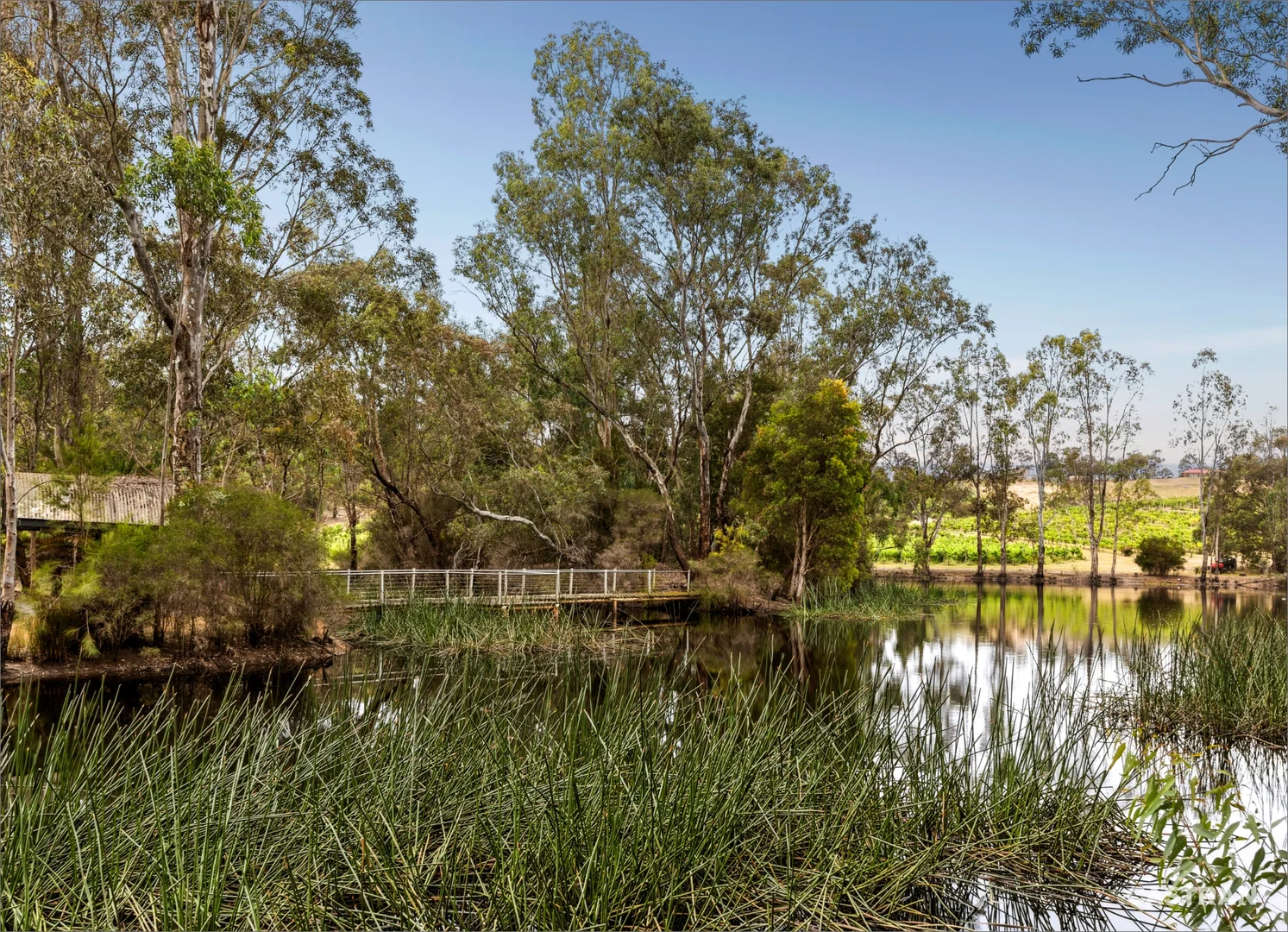 Additional image 28 of 110 Wills Road, Dixons Creek VIC 3775