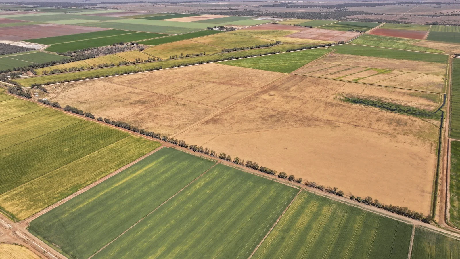 Additional image 5 of 128 Chittick Road, Warrawidgee NSW 2680