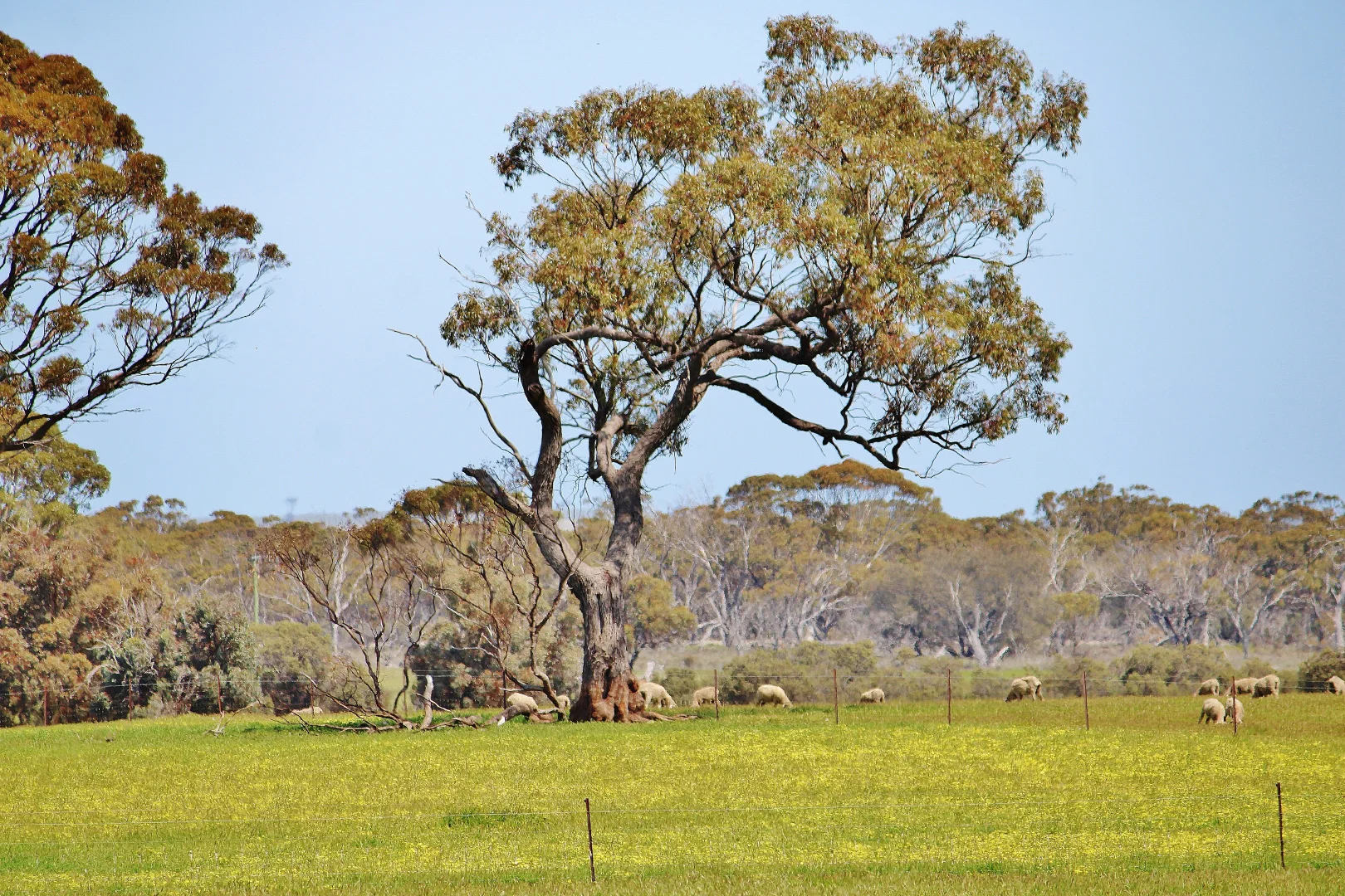 Additional image 22 of 256 WAGIN-DUMBLEYUNG ROAD, Wagin WA 6315