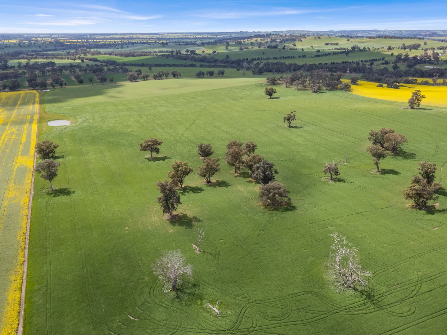 Additional image 40 of 2056 Benalla-Yarrawona Road, Bungeet West VIC 3726