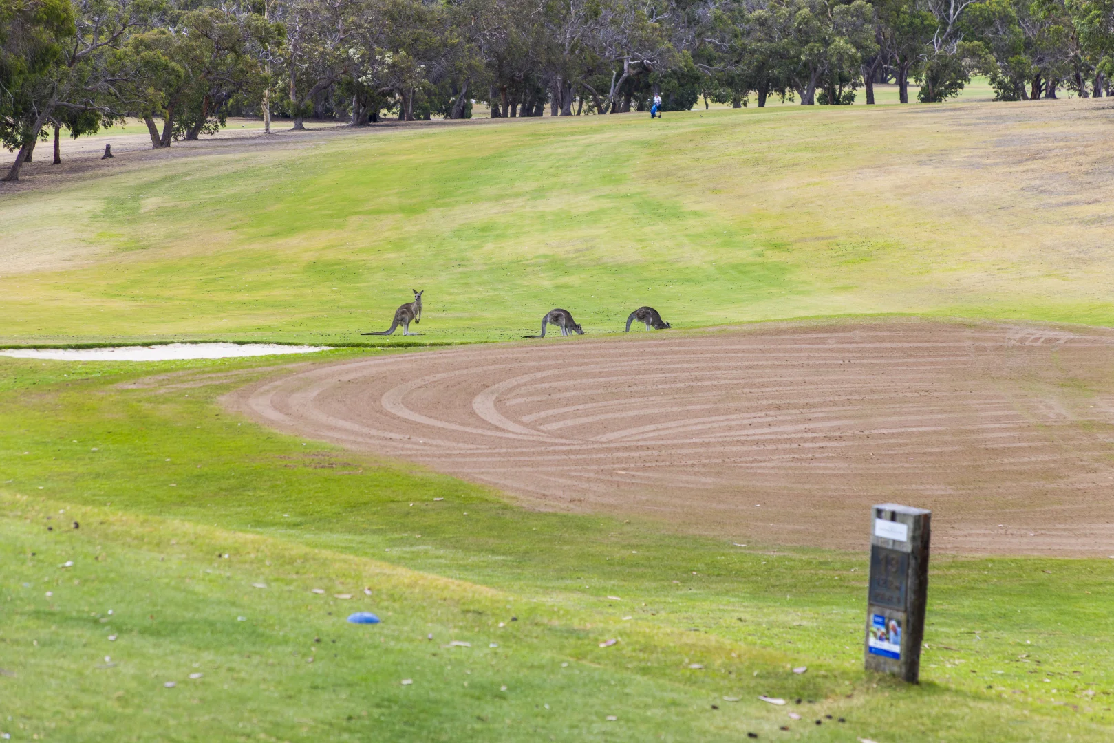 Additional image 18 of 1D McMahon Avenue, Anglesea VIC 3230