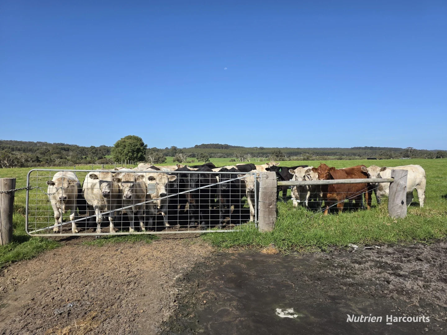 Additional image 12 of 60 Skippings Road, Kordabup WA 6333