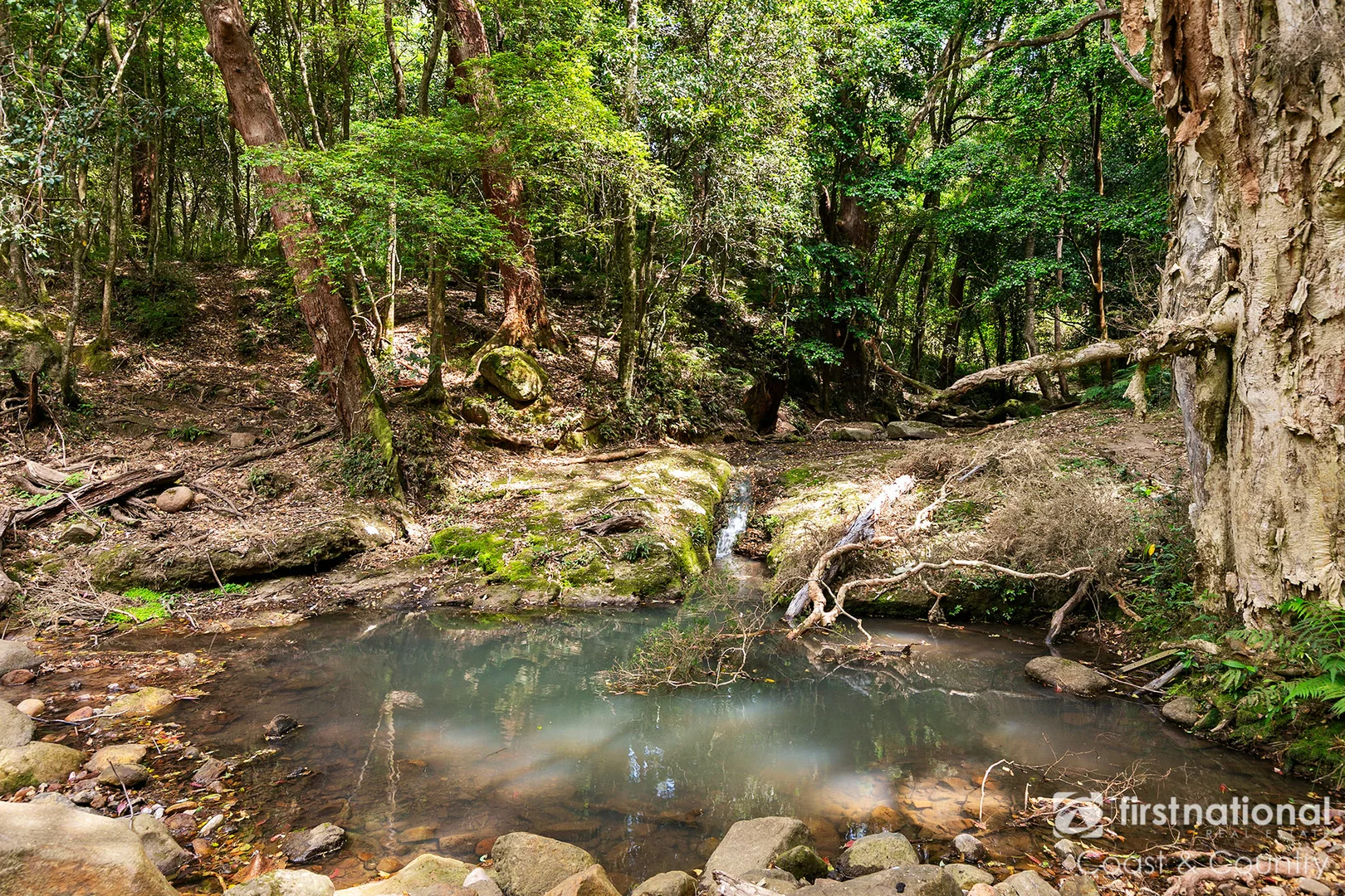 Additional image 6 of 259 Minnamurra Falls Road, Jamberoo NSW 2533