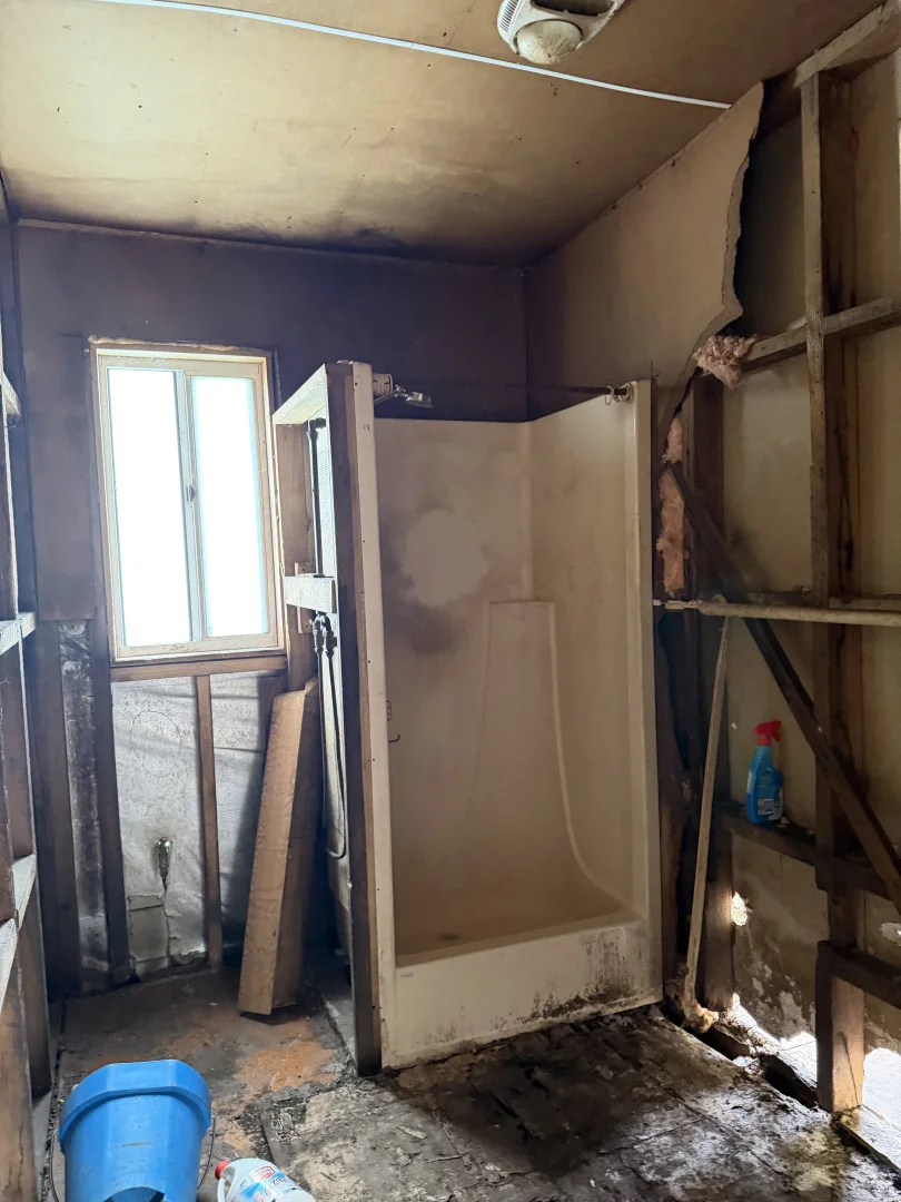 Additional image 4 of 445 Mansons Road, Egg Lagoon TAS 7256