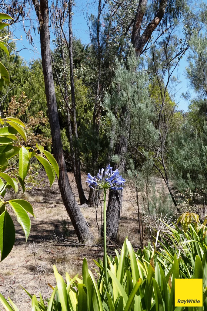 Additional image 35 of 317 Macs Reef Road, Bywong NSW 2621