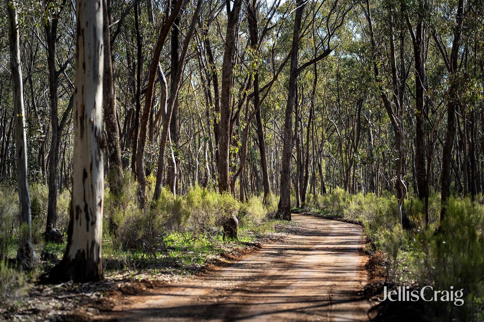 Additional image 5 of 536 Muckleford-Castlemaine Road, Muckleford VIC 3451