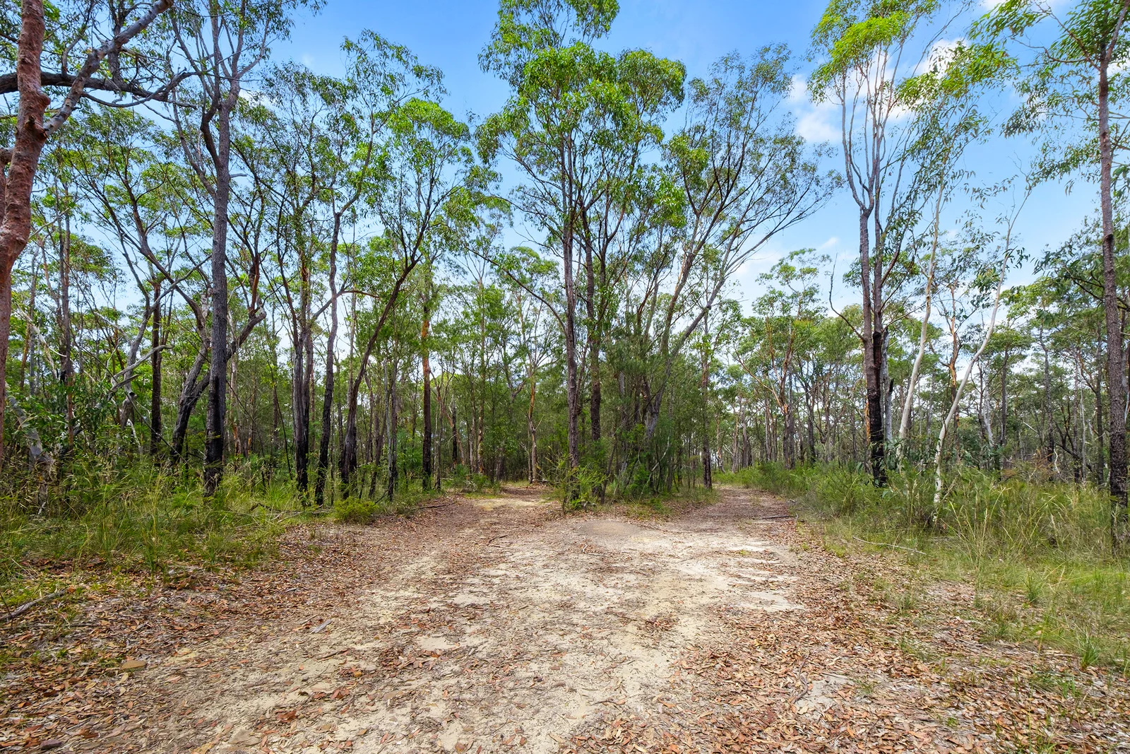 Additional image 5 of 3472 Old Northern Road, Glenorie NSW 2157