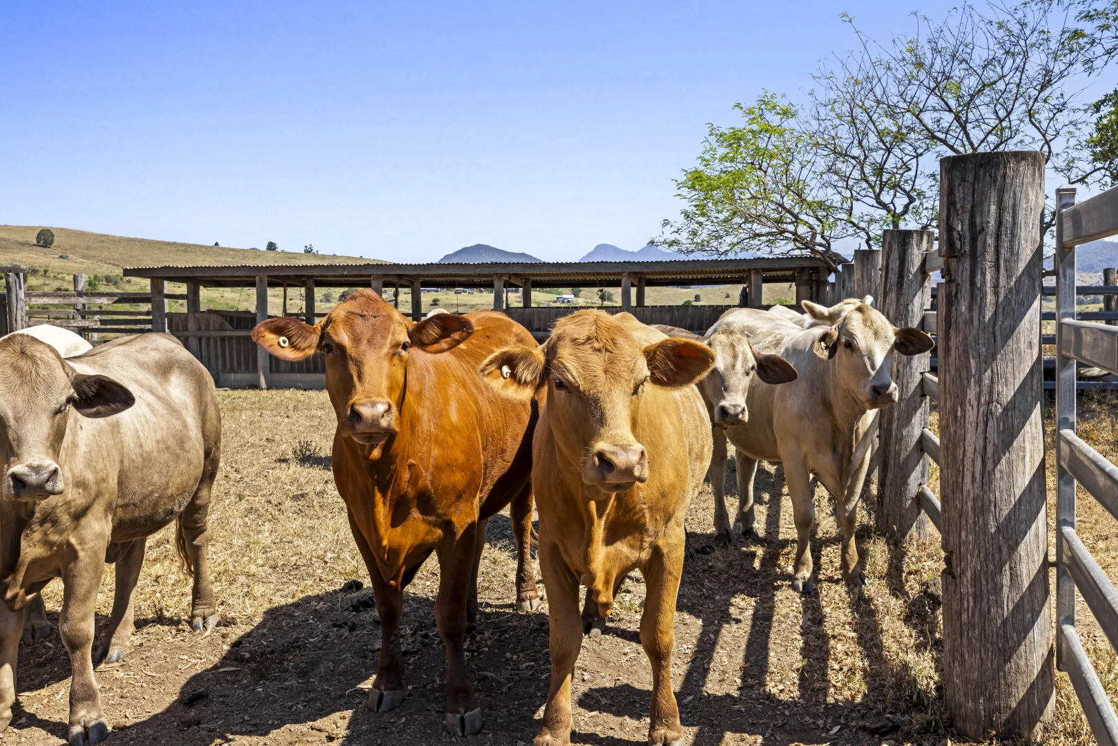 Additional image 35 of 104 Green Hills Road, Milford QLD 4310