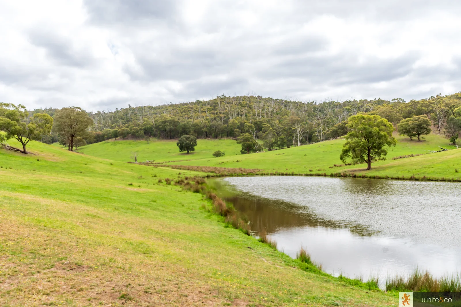 Additional image 12 of 1, 2 & 3/170 Dalls Road, Whittlesea VIC 3757