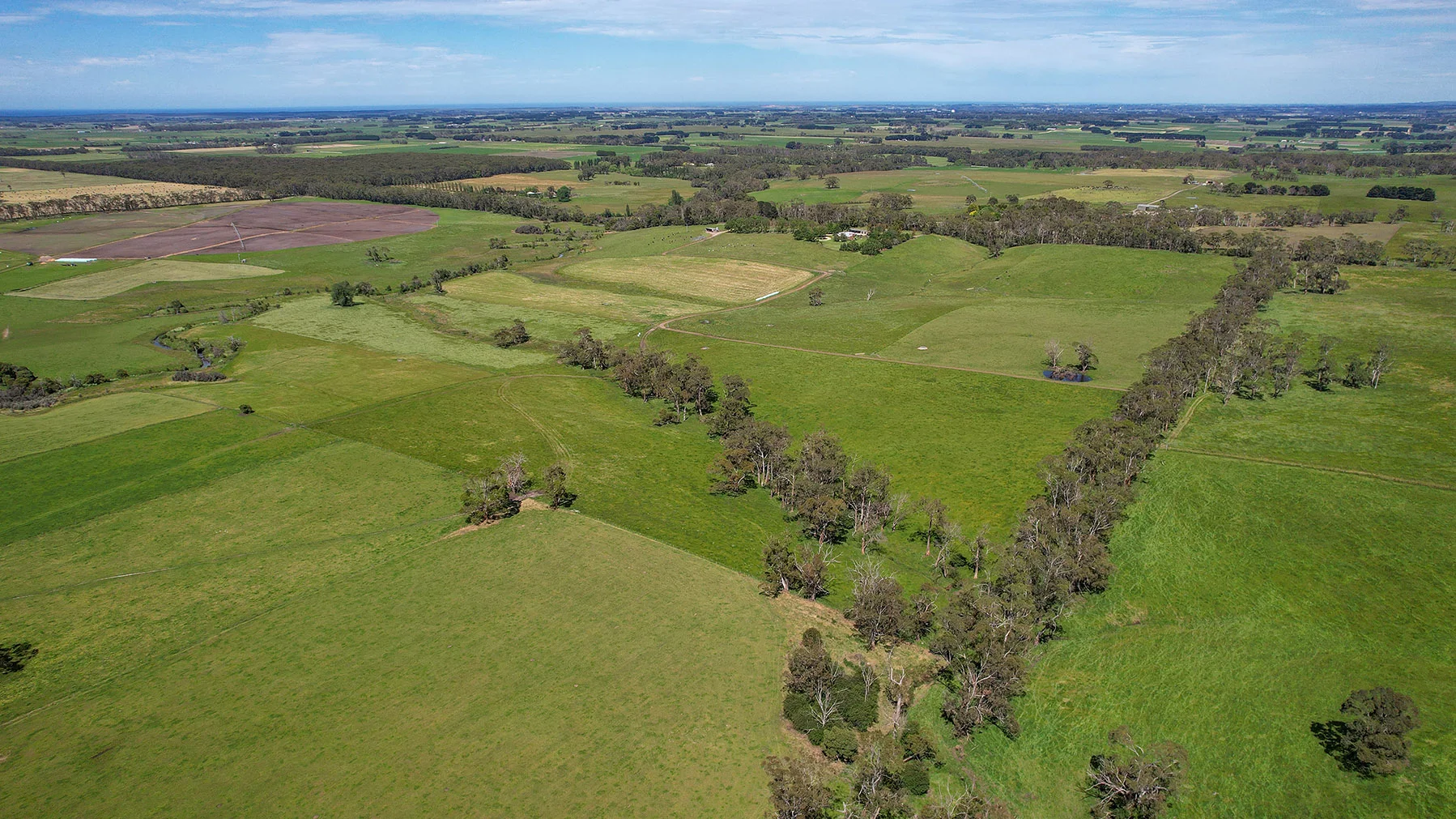 Additional image 30 of 335 Rollos Road, Panmure VIC 3265