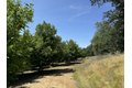 Additional image 29 of 18525 Farquhar Rd, Cottonwood, CA, 96022