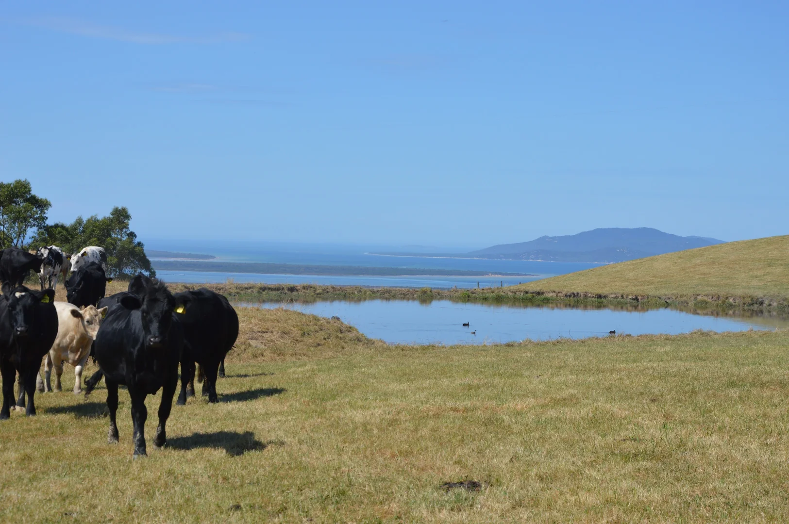 Additional image 9 of 20 Gryll Road, Welshpool VIC 3966