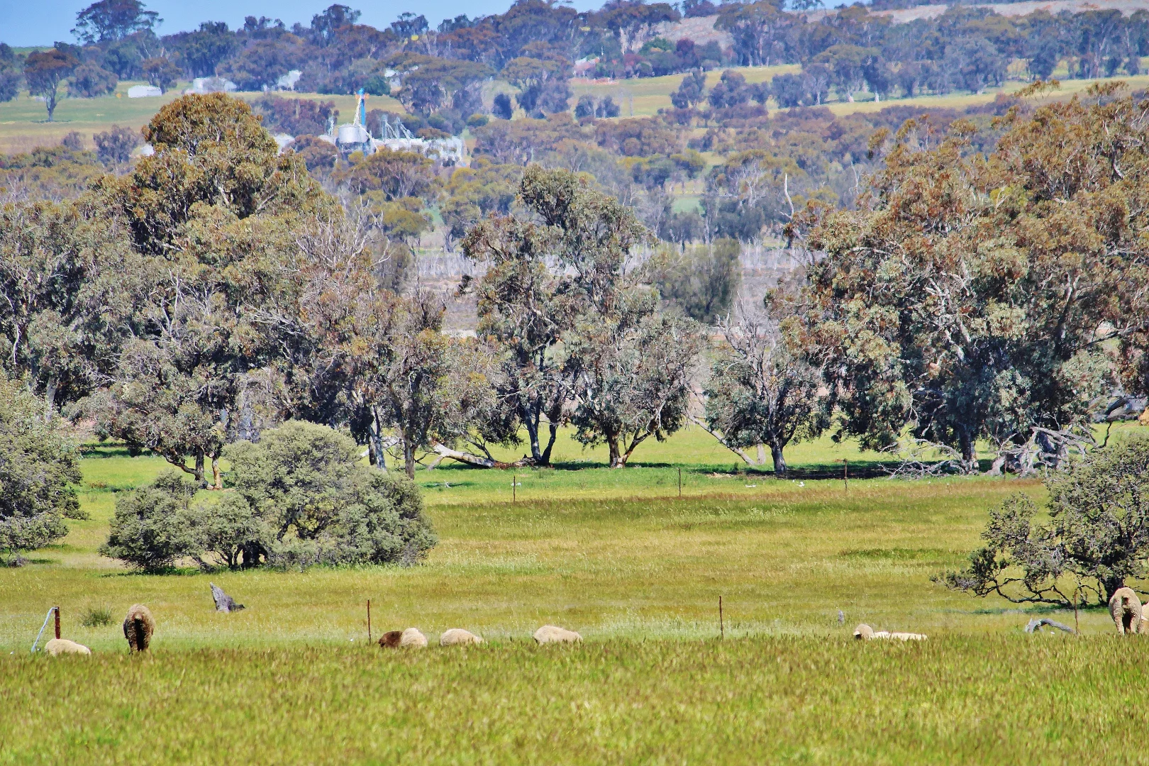 Additional image 15 of 256 WAGIN-DUMBLEYUNG ROAD, Wagin WA 6315