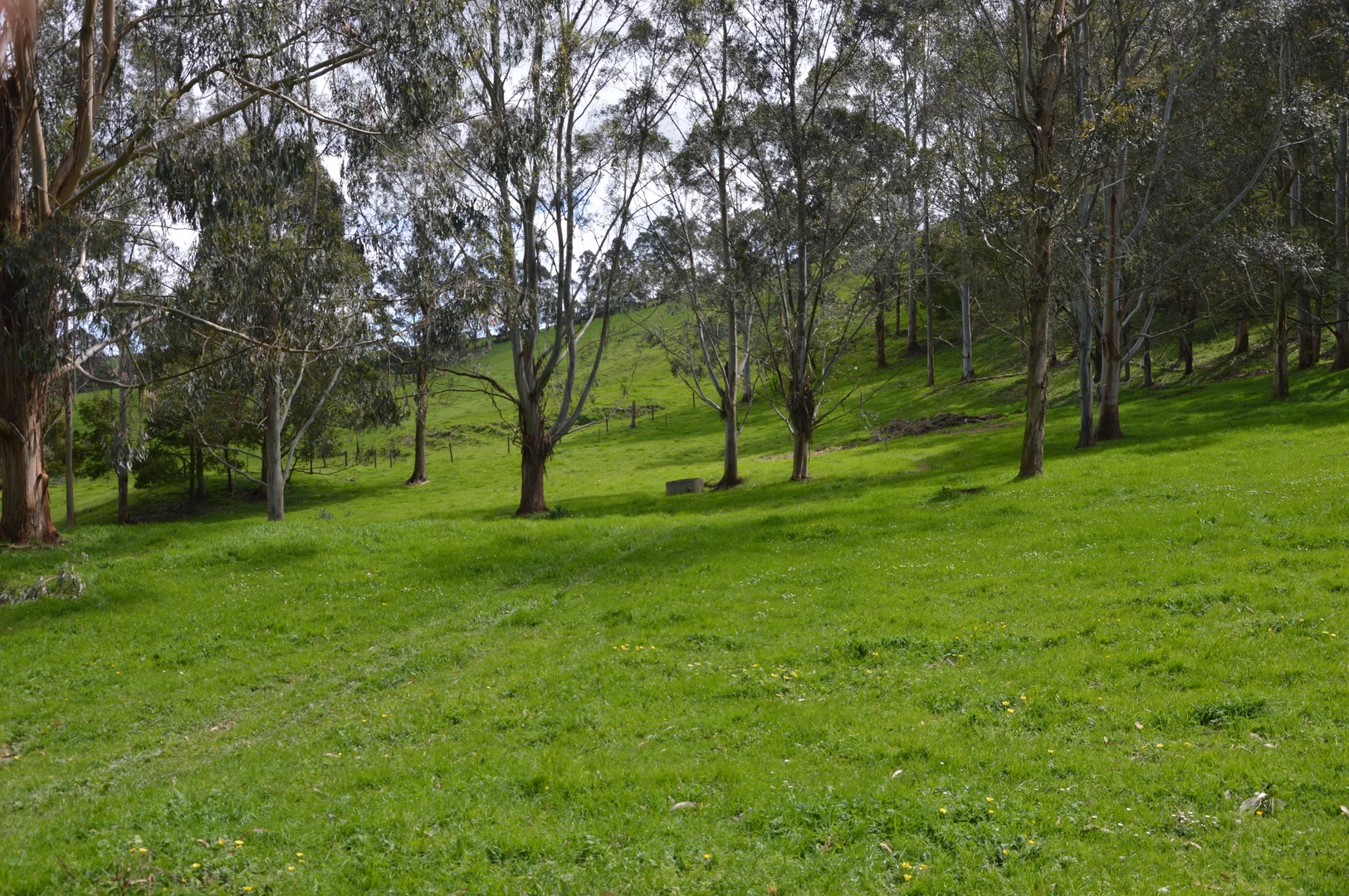 Additional image 26 of 59 Bellview Lane, Korumburra VIC 3950