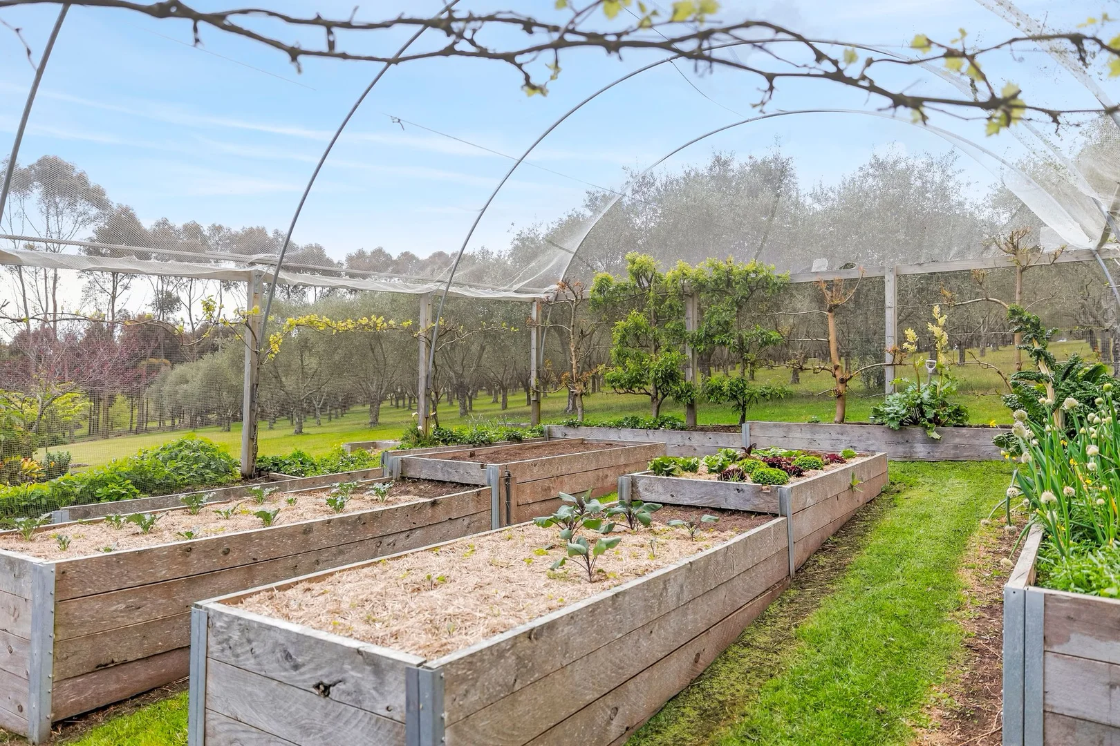 Additional image 22 of 405 Brickmakers Road, Bambra VIC 3241