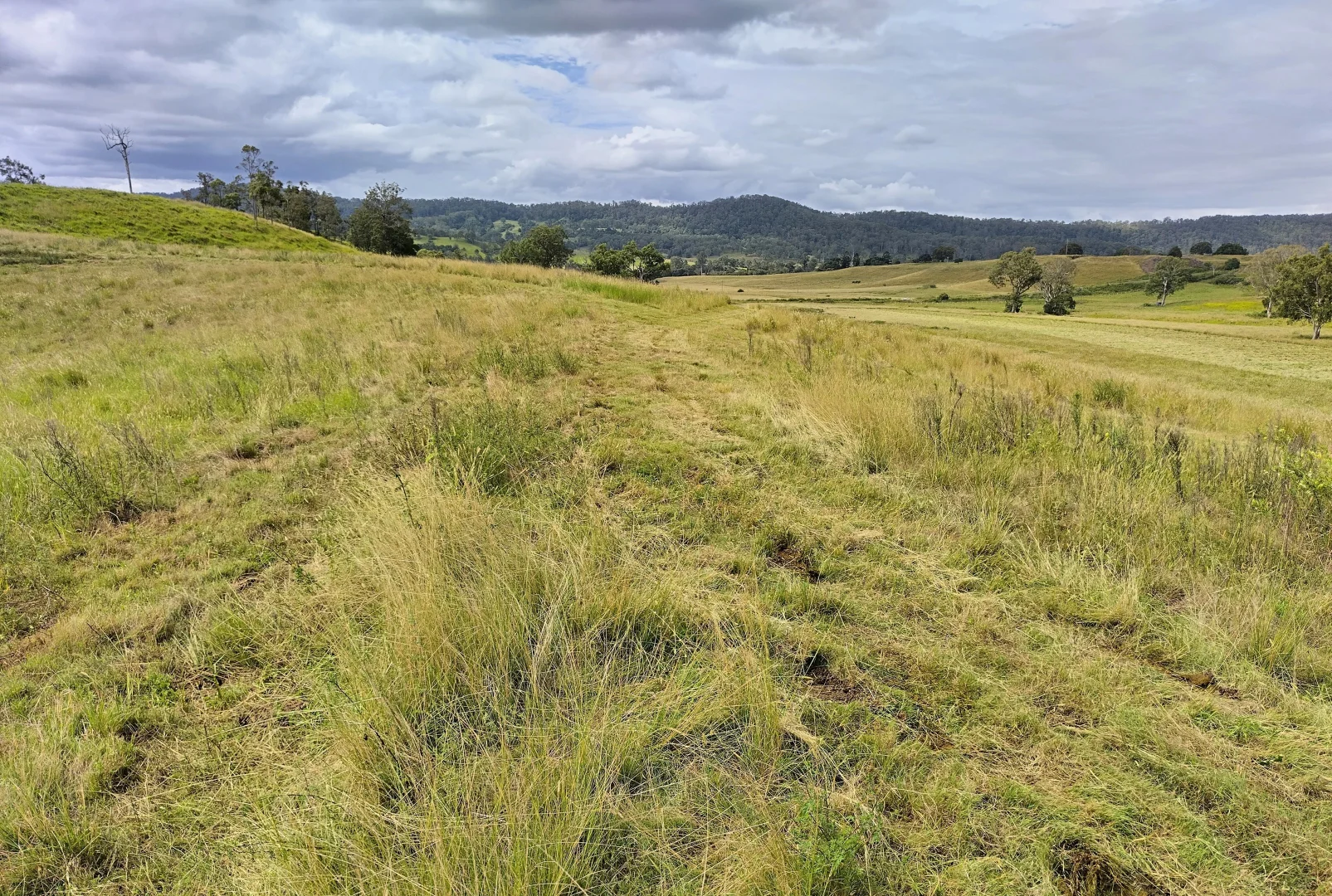 Additional image 10 of 1106 Naughtons Gap Road, Bentley NSW 2480