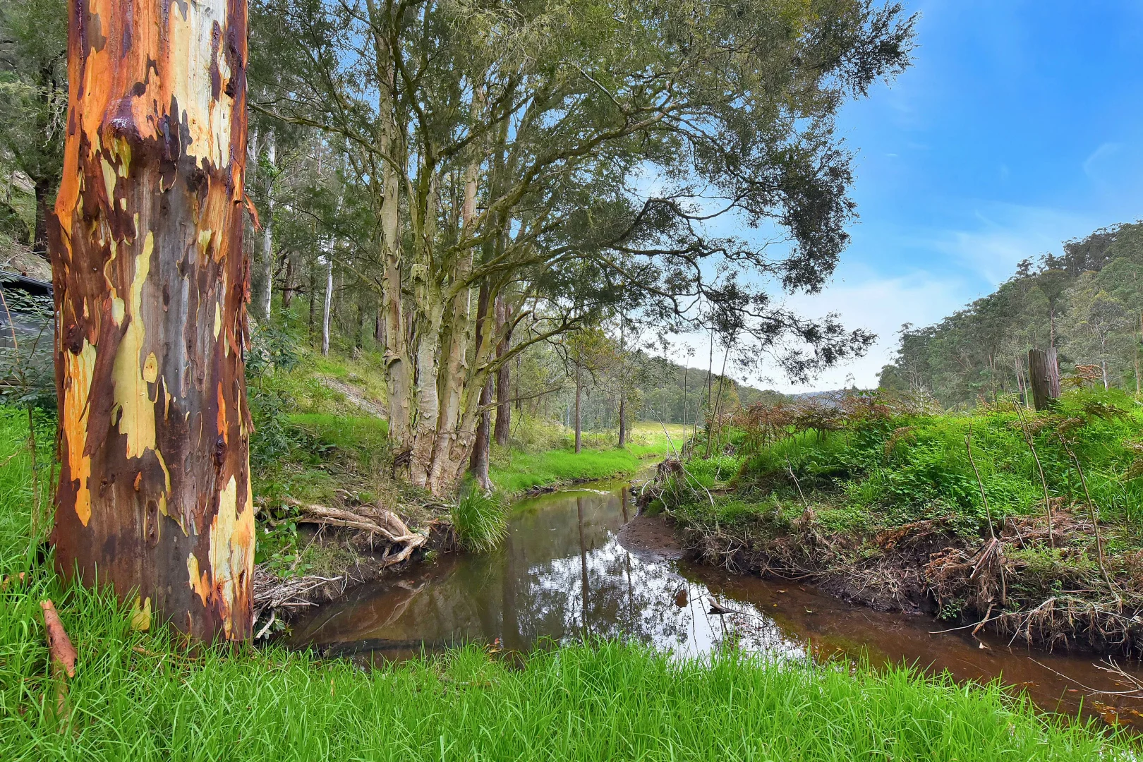 Additional image 29 of 2299 Wollombi Road, Sweetmans Creek NSW 2325