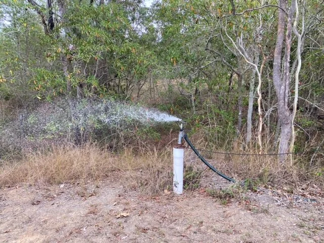 Additional image 6 of 630 Midge Point Road, Bloomsbury QLD 4799