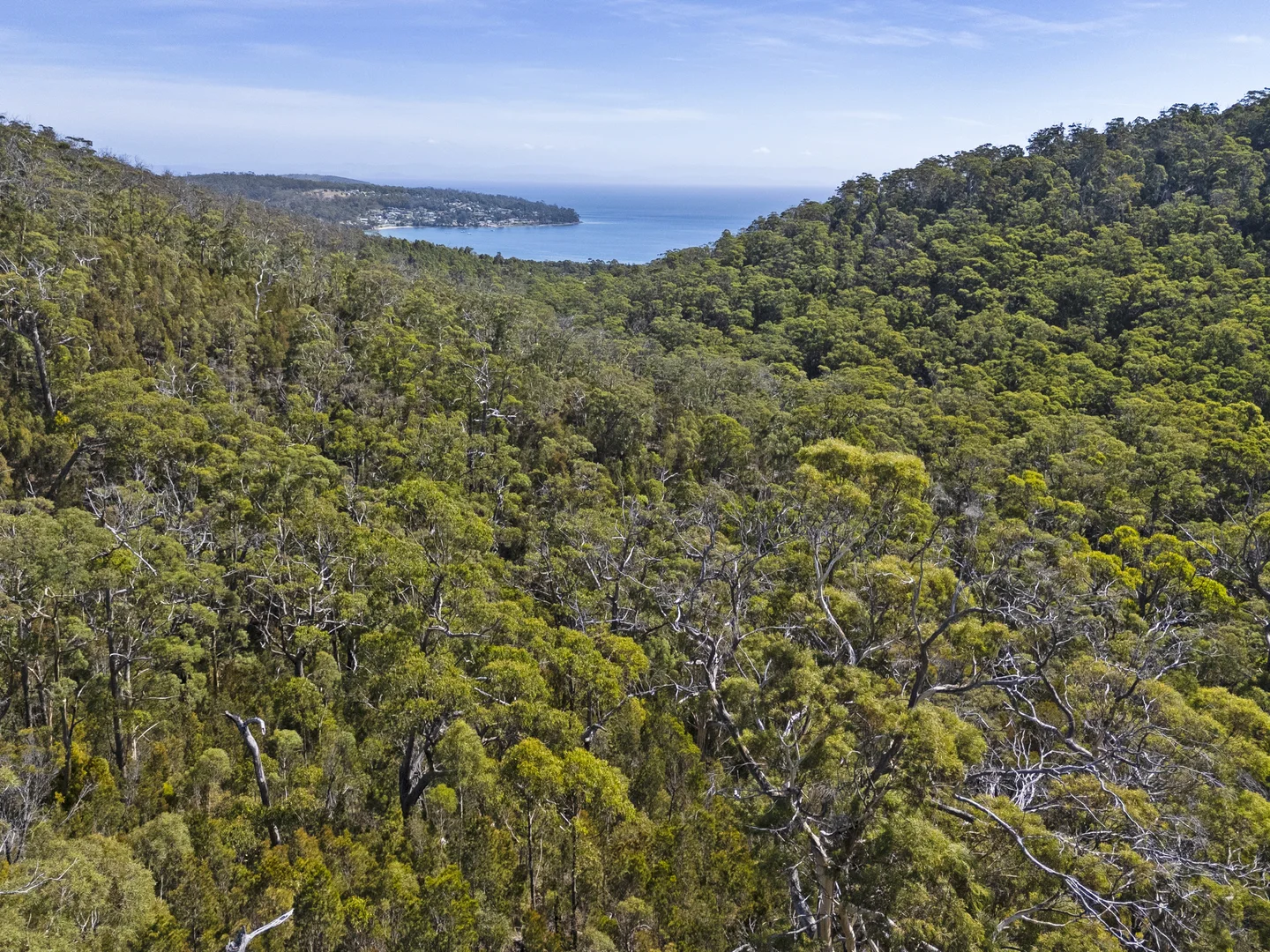 Additional image 24 of 2 and 3 White Beach Road, White Beach TAS 7184