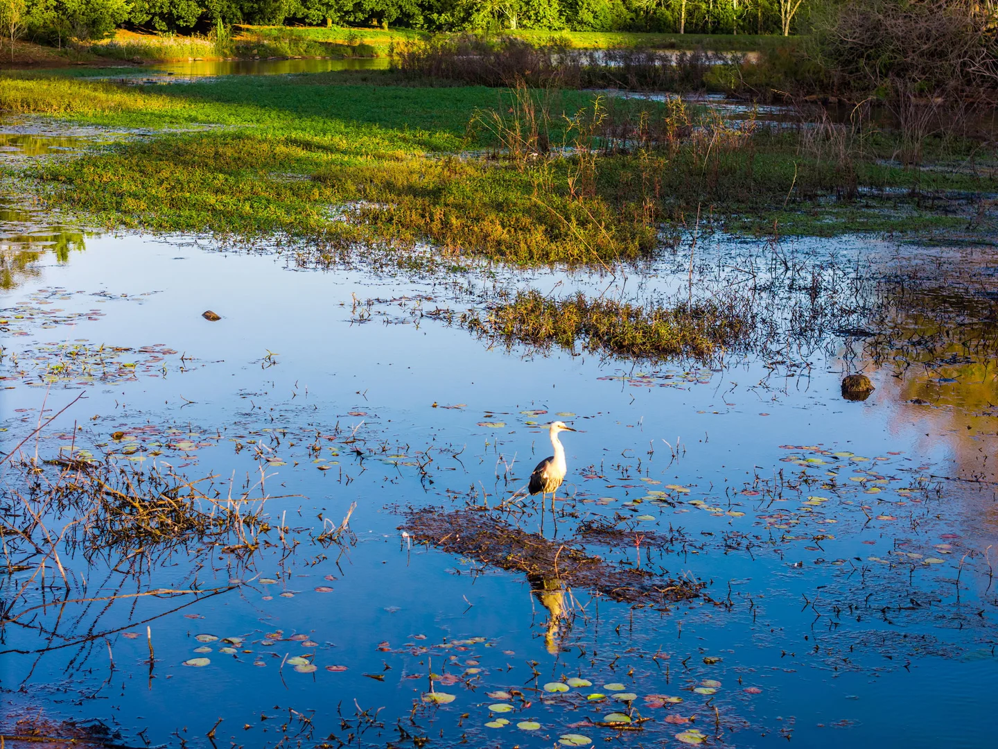 Additional image 6 of 145 Brooklet Road, Newrybar NSW 2479