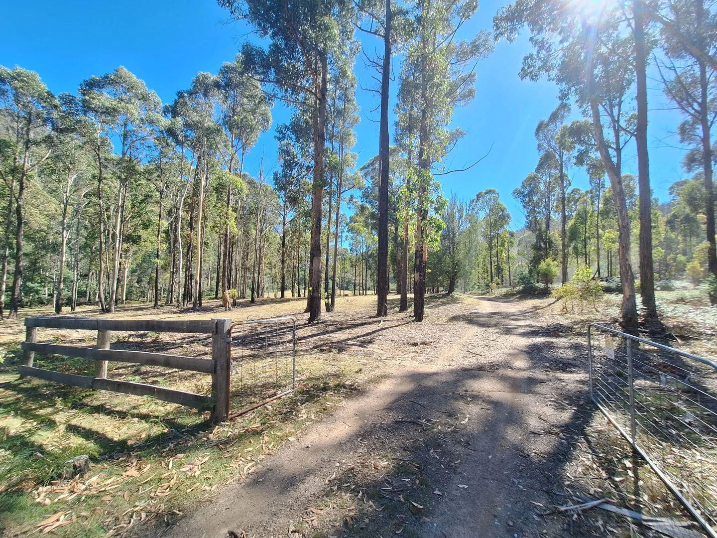 141 Young Street, Mangana TAS 7214