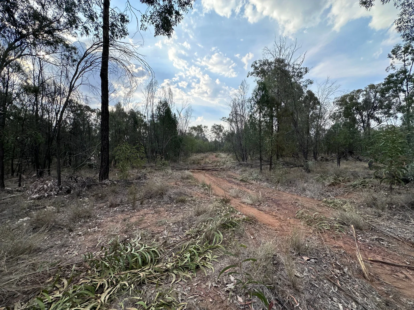 Additional image 13 of 15778 Surat Development Road, Goranba QLD 4421