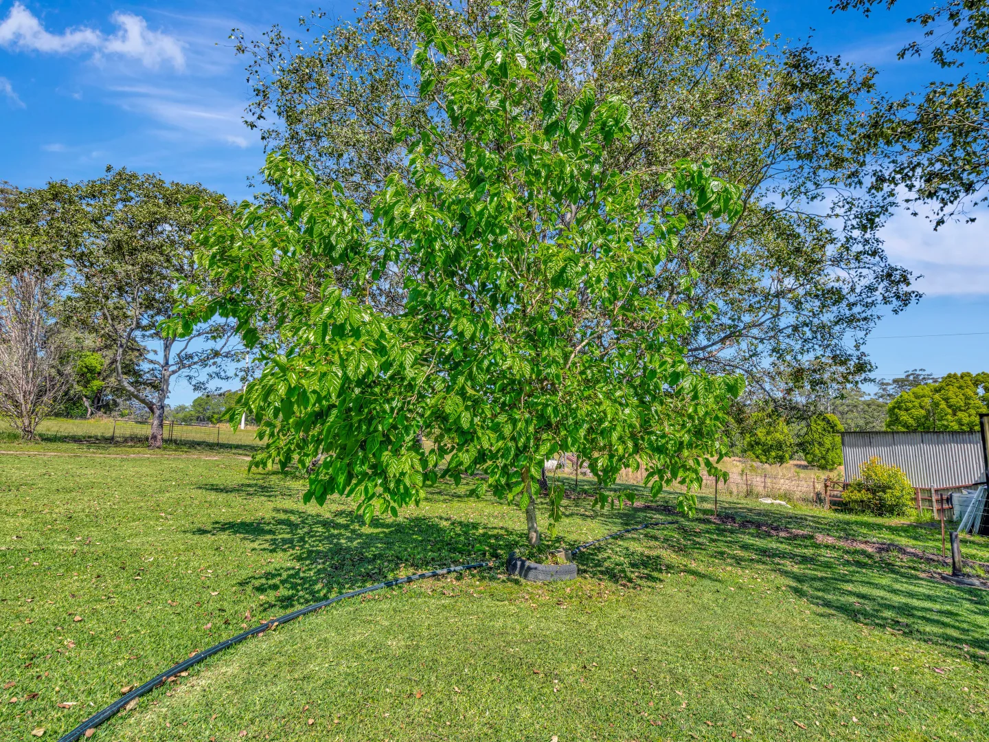 Additional image 23 of 923 Orara Way, Nana Glen NSW 2450