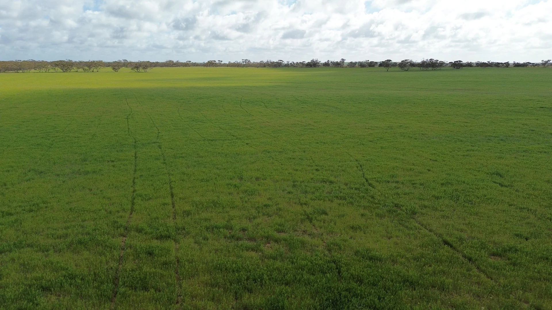 Additional image 7 of Lot 18 Tod Highway, Warramboo SA 5650