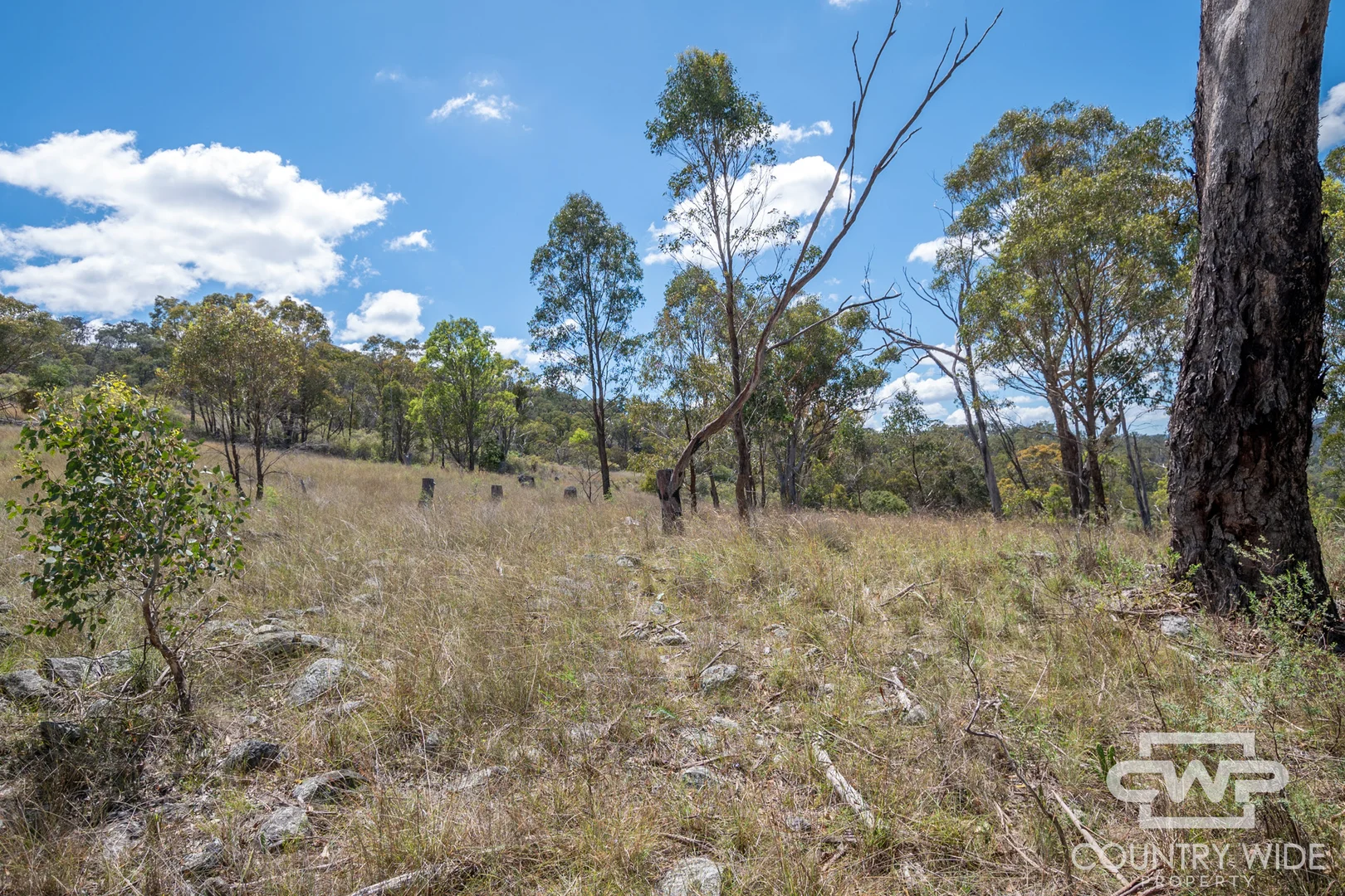 Additional image 4 of 1, 61, 4108 Tent Hill Road, Emmaville NSW 2371