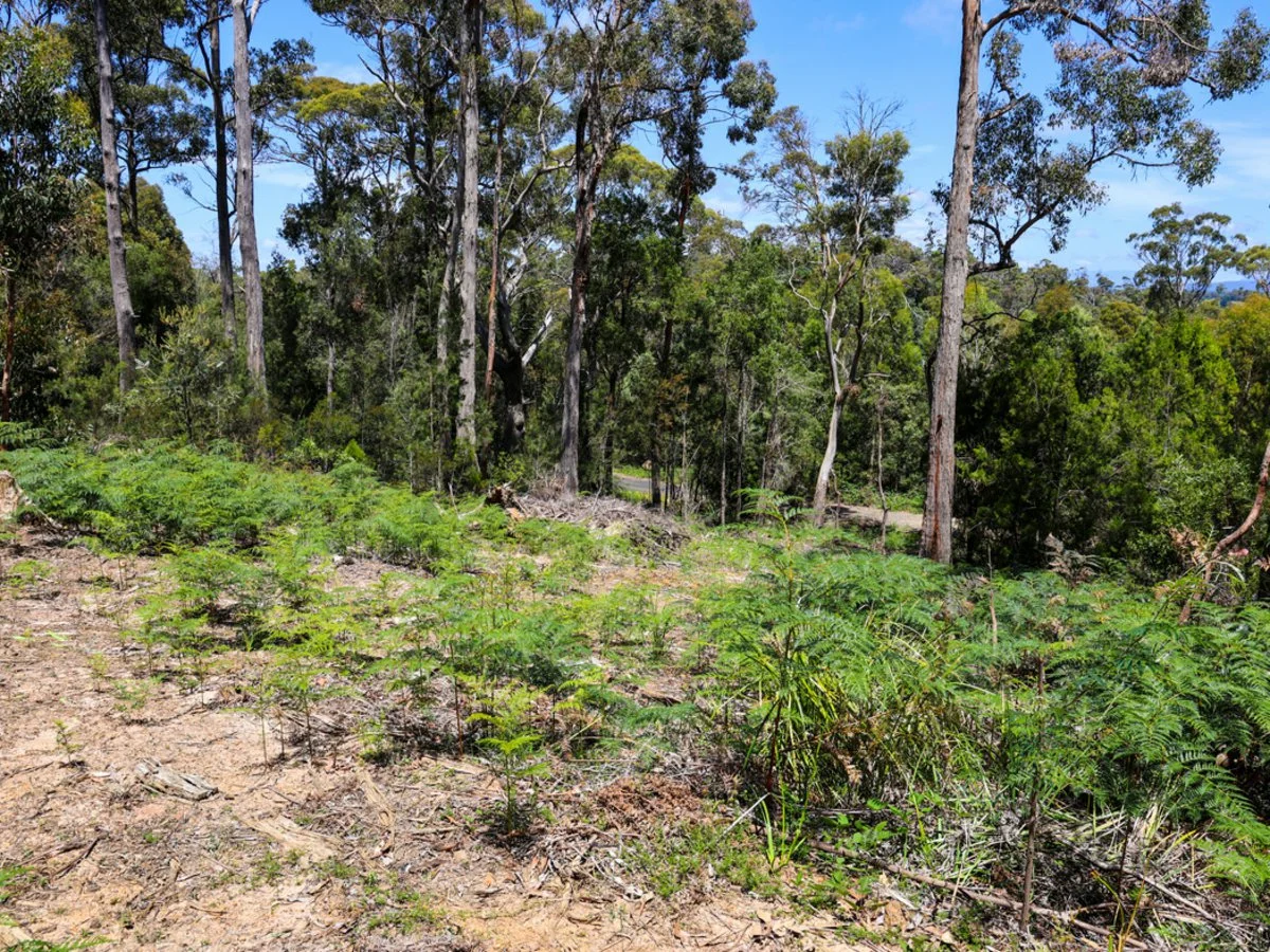 Additional image 2 of Lot 1 Wesley Vale Road, Wesley Vale TAS 7307