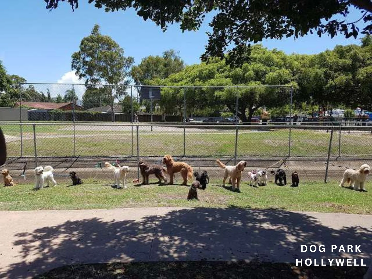 Additional image 28 of 26 Poinsettia Avenue, Runaway Bay QLD 4216