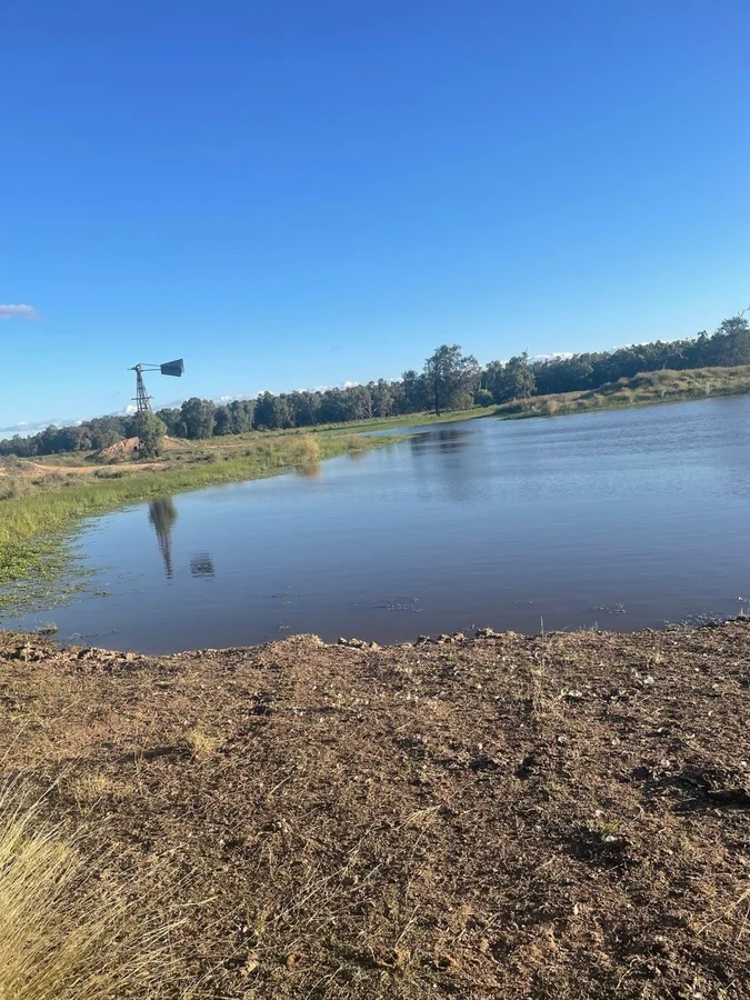 Additional image 3 of 9812 Pilliga Road, Coonamble NSW 2829