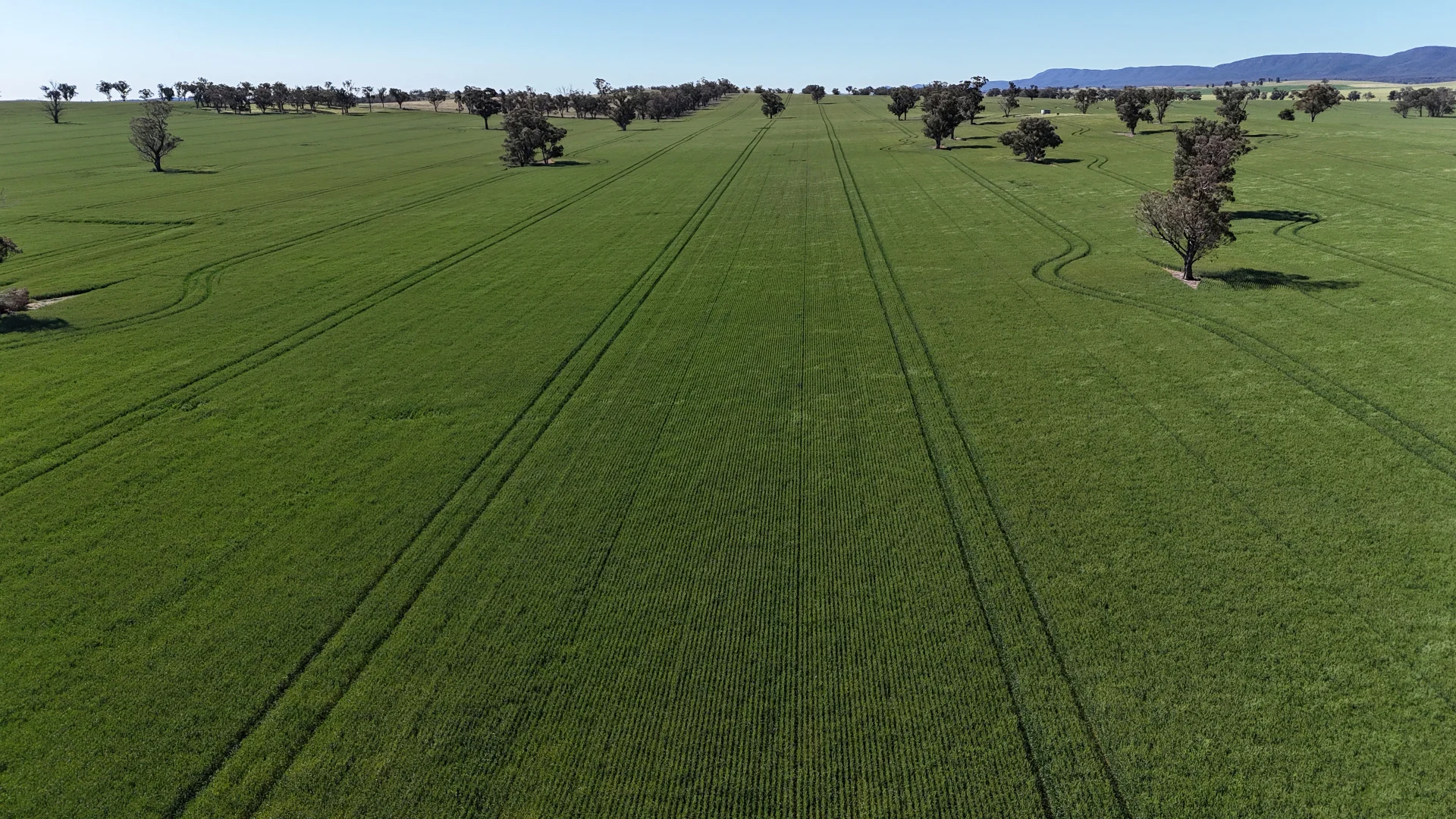 Additional image 4 of 861 Kadina Road, Parkes NSW 2870