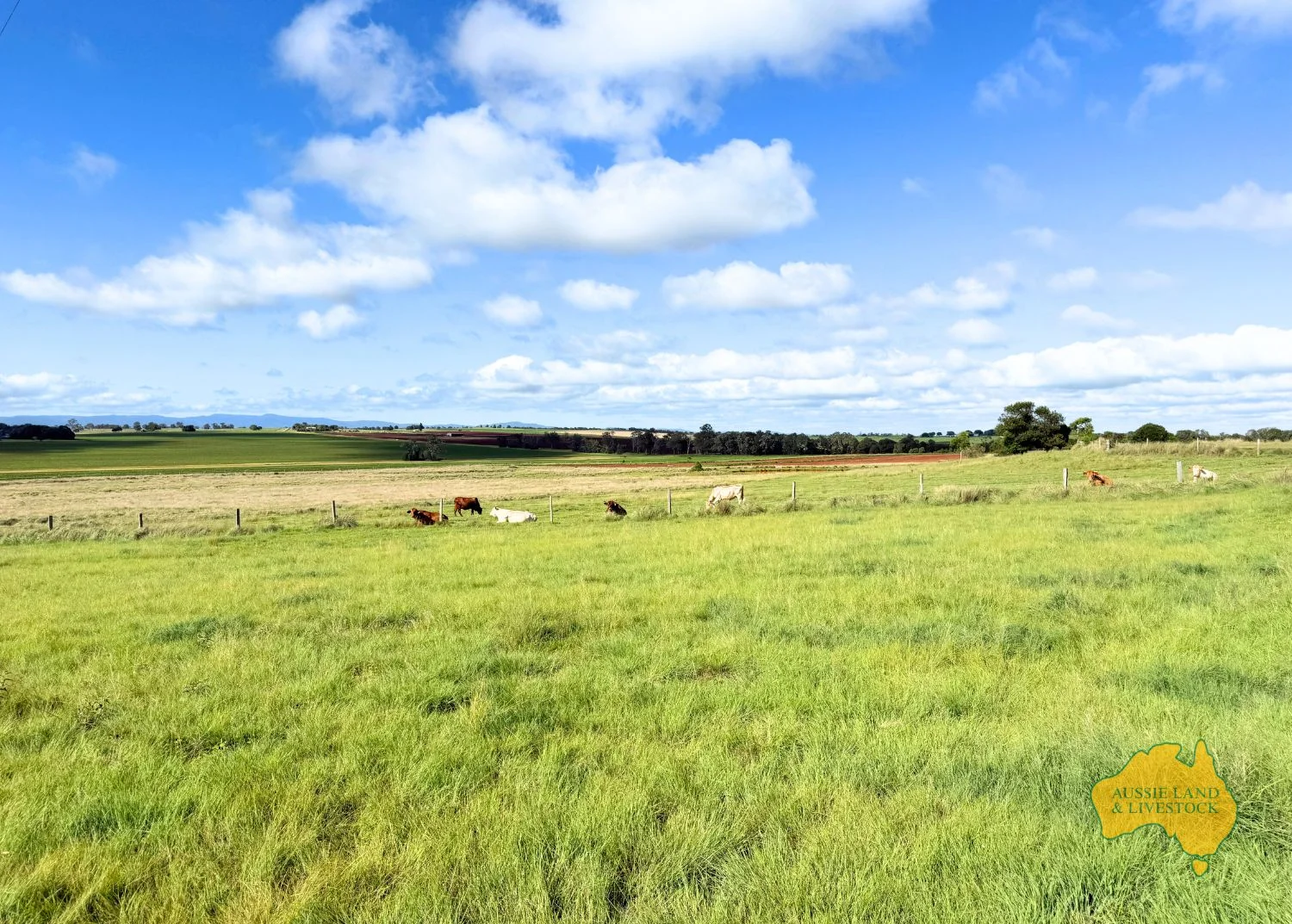 Additional image 19 of 544 WATTLEGROVE ROAD, Benair QLD 4610