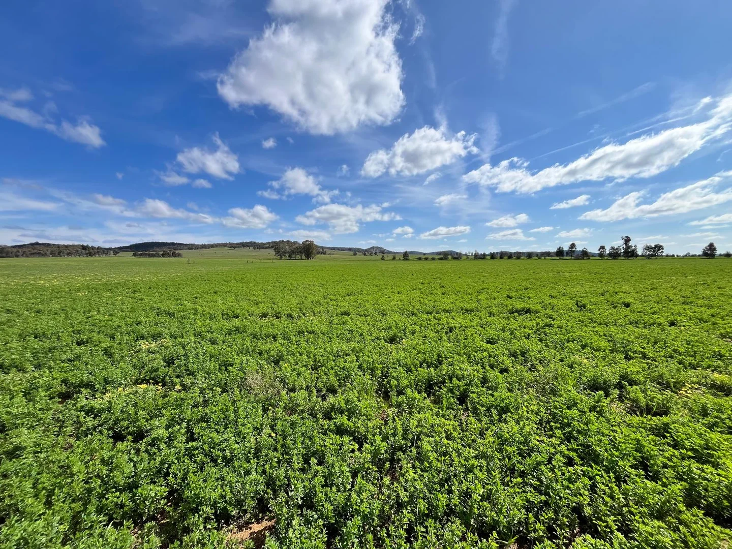 Additional image 17 of 92 Campbells Lane, Canowindra NSW 2804