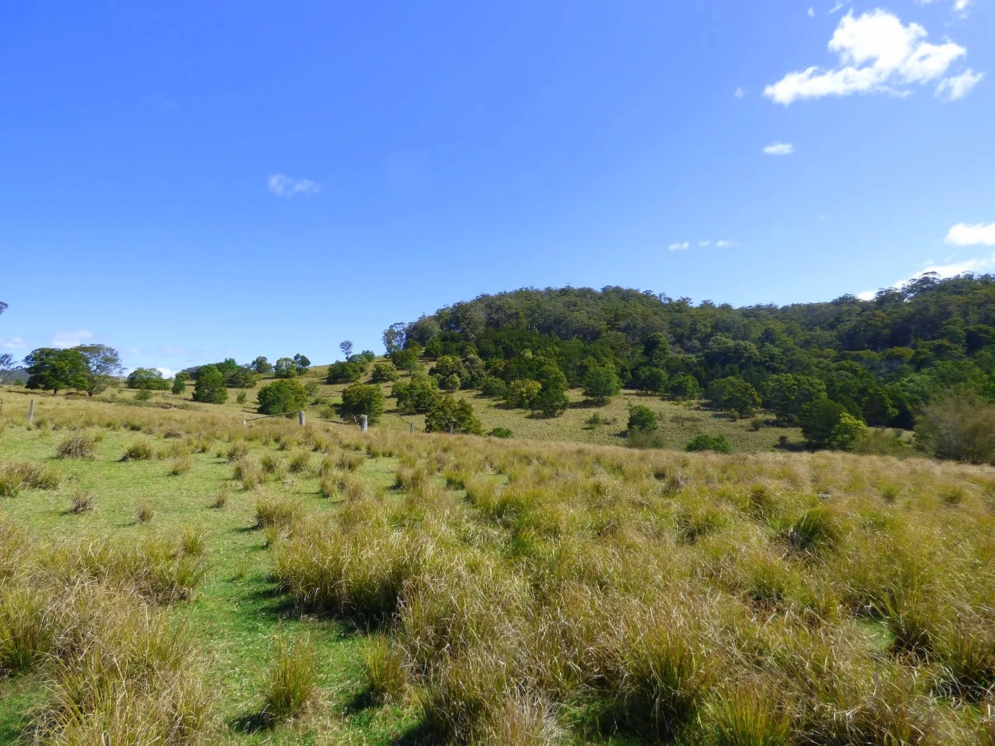 Additional image 3 of 1215 Nethercote Rd, Nethercote NSW 2549