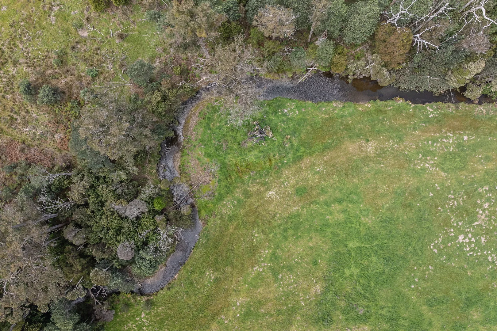 Additional image 3 of . Golconda Road, Nabowla TAS 7260