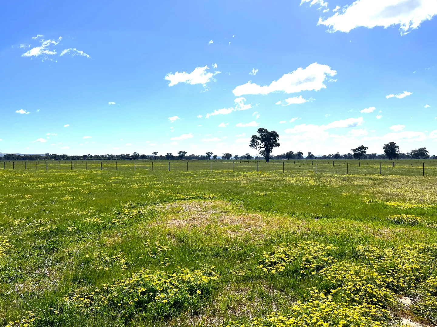 Additional image 4 of 1 Dennis Road, Benalla VIC 3672