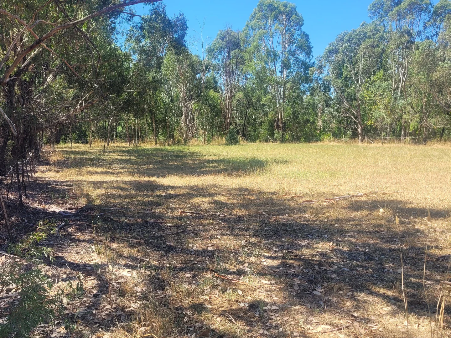 Additional image 5 of 5 Rowe Street, Mansfield VIC 3722