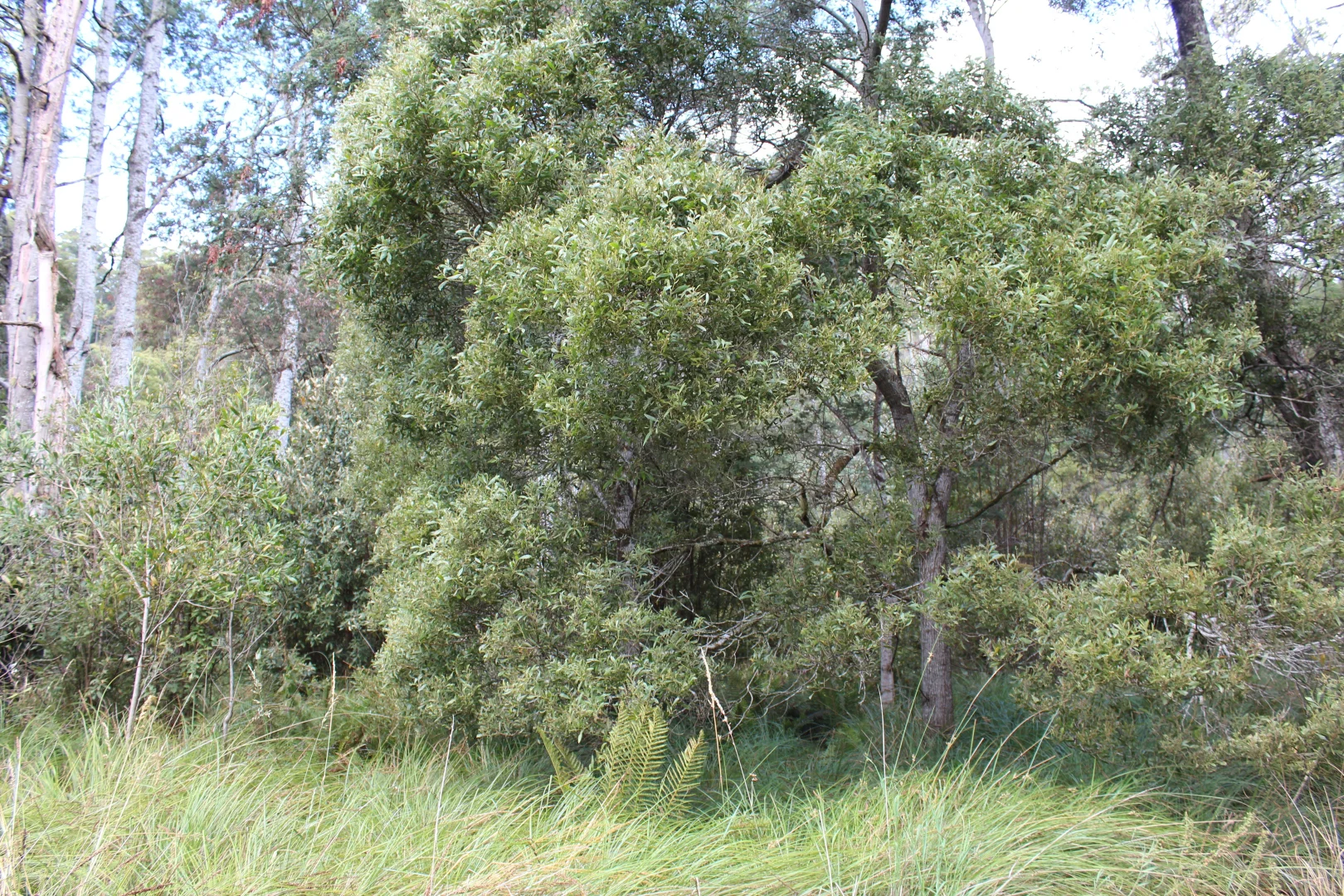 Additional image 2 of 188 Bassett's Road, Calder TAS 7325