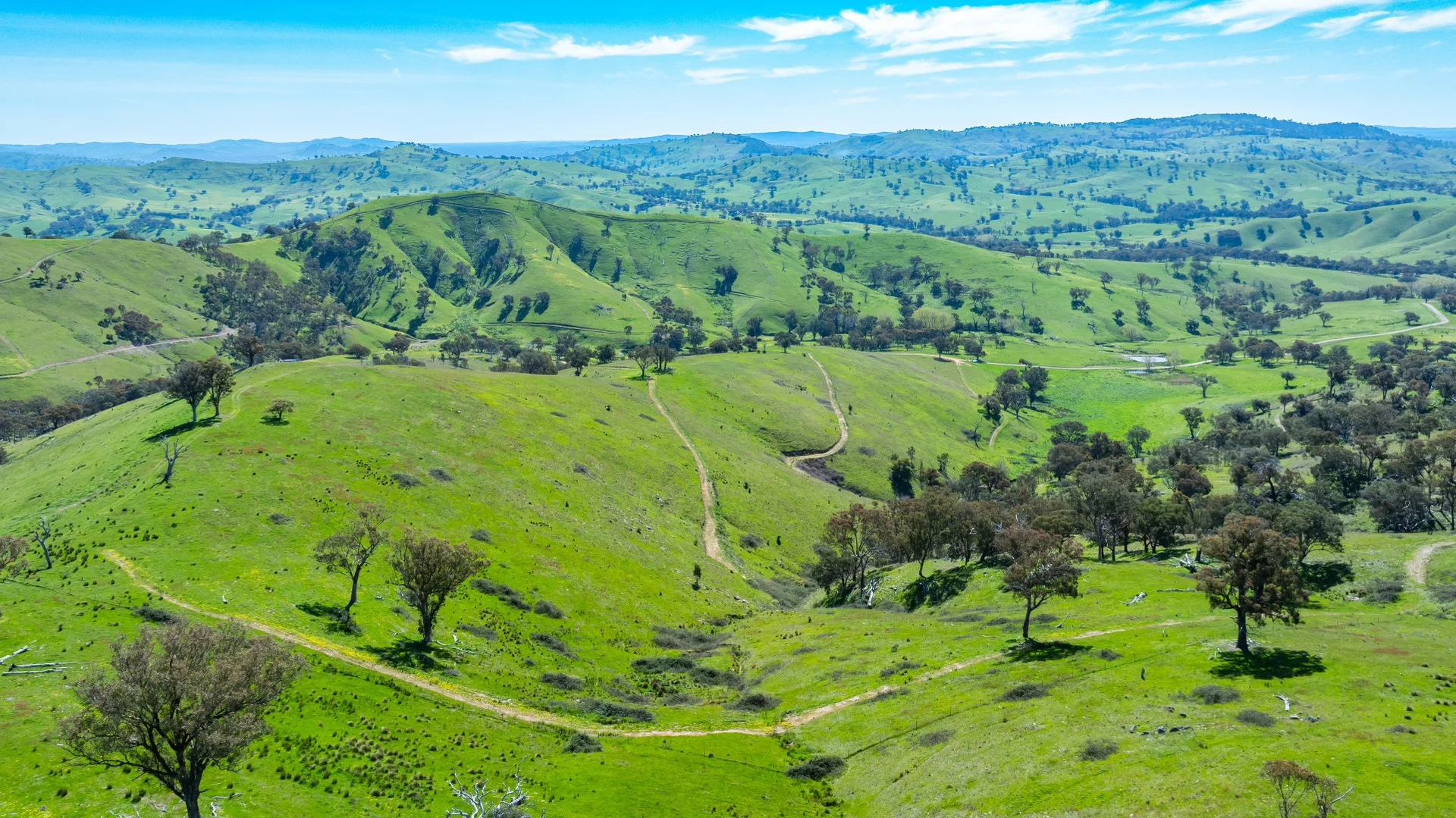 Additional image 15 of . Packers Road, Bethanga VIC 3691